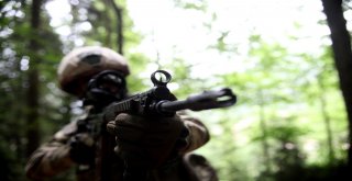 Jöperler İlk Defa Bu Kadar Yakından Görüntülendi