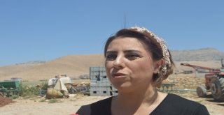 Mardinli Şef Dünya Sıralamasında