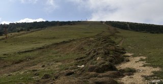 Zigana Kayak Merkezinin Kayak Pisti Doğalgaz Boru Hattı İçin Tahrip Edildi