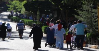 (Özel Haber) Gaziantep Hayvanat Bahçesi Rekorları Alt Üst Ediyor