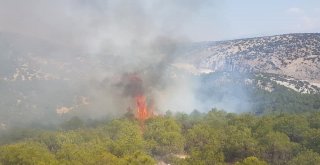 Hırsızların Yaktığı Kablolar 10 Dönüm Alanı Küle Çevirdi