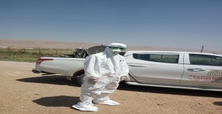 Mardinde Akrep Ve Haşere İle Mücadele Timi Kuruldu