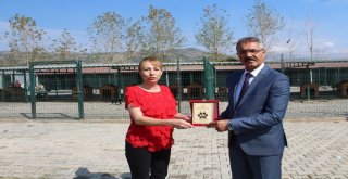 Turhalda 4 Ekim Dünya Hayvanları Koruma Günü Sevgiyle Kutlandı