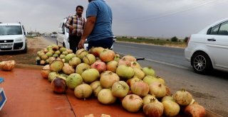 (Özel) Suruç Narı Tezgahlardaki Yerini Aldı