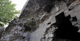 Tehlikeye Aldırış Etmeden Serinliyorlar