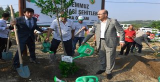 15 Temmuz Demokrasi Şehitleri Hatıra Ormanına Fidan Dikildi