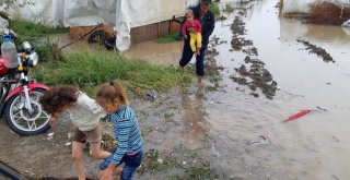 (Özel Haber) Mevsimlik İşçilerin Çadırlarını Sel Bastı, Çocuklar Son Anda Kurtarıldı