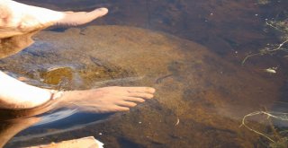 Hastalığına Çare Arayan Bu Göle Gidiyor