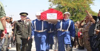 Diyarbakır Şehidi Kahrolsun Pkk Sloganları İle Defnedildi