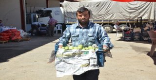 Rusyaya Elbistan Kabağı