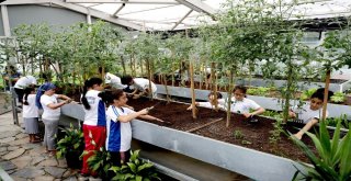 Bağcılarda Çocuklar Bitkilerle Arkadaş Oldu