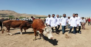 Vanda Kurban Sağlık Timi İş Başında
