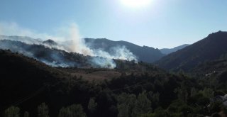 Gümüşhanede Örtü Yangını