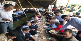 Bingölde 2 Bin 500 Rakımlı Yaylada Bayramlaşma Etkinliği