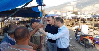 Kurban Pazarında Anlaşamayan Alıcı İle Satıcıya Milletvekili Aracı Oldu