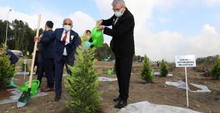 Sakarya'da fidanlar toprakla buluştu