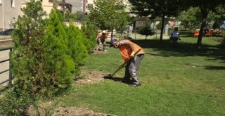 Park Ve Bahçeler Müdürlüğü Kenti Güzelleştiriyor