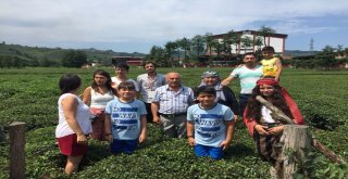 Eskişehirlilerin Çay Keyfi