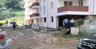Trabzonda Selin Ardından Temizleme Çalışmaları Başladı