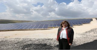 Gaziantepteki Biyogaz Tesisi Projesi Ödüle Layık Görüldü