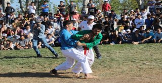 Kuraş Şampiyonasında Şampiyonlar Belli Oldu