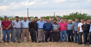 Mahalleliden Çimento Fabrikası Kurulmasına Tepki