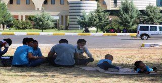 Göçmenleri İstanbul Ve Ankara Diye Diyarbakıra Getirdiler