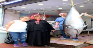 Samsunluların Dev Orkinos Şaşkınlığı