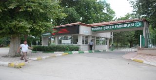 Turhal Şeker Fabrikasına İki Haftada 2 Bin 700 Kişi Başvurdu