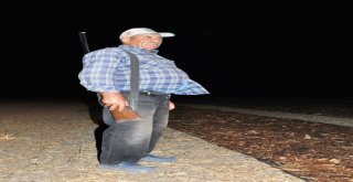 Çiftçinin Tüfekli Üzüm Nöbeti