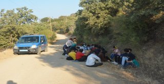 Çanakkalede 40 Kaçak Göçmen Yakalandı