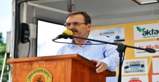 Başkan Şahin: “Hedefimiz Tarım, Sanayi Ve Turizmde En İyi Noktaya Gelmek”