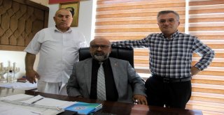 Ülkenin Ekonomisini Patates Ve Soğanla Kıyaslamayın