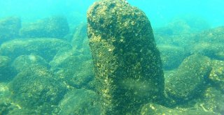 Van Gölünün Altında Yaşam Belirtileri