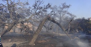 Çanakkalede Otluk Alanda Çıkan Yangın Evlere Zarar Verdi