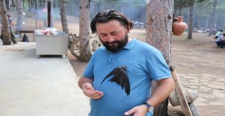 Gizemini Koruyan Ebabil Kuşu Karabükü Yurt Edindi