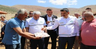 Bakan Pakdemirli: Orduda Ve Antalyada Üreticinin Zararı Devlet Tarafından Karşılanacak