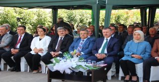 Ahilik Haftası Kutlamaları Renkli Görüntülere Sahne Oldu
