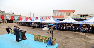 Şahinbey Belediyesi Buğday Ve Arpa Tohumu Dağıtımını Sürdürüyor