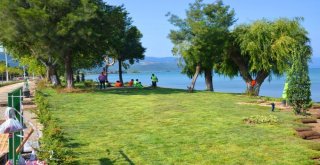 İznik Sahili Botanik Bahçesini Andırıyor