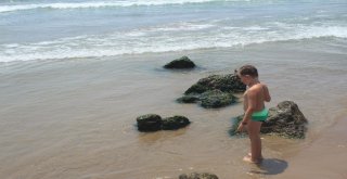 Kumköy Deresi Tehlike Saçıyor