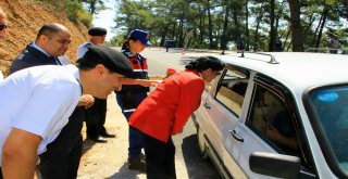 Sürücüye Kırmızı Karanfil, Çocuklara Kırmızı Düdük