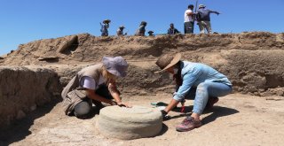 Vanda 5-6 Bin Yıl Boyunca Aynı Ev Tipleri Kullanılmış