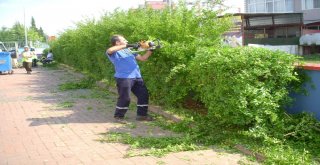 Kartepede Çevre Düzenlemeleri Devam Ediyor