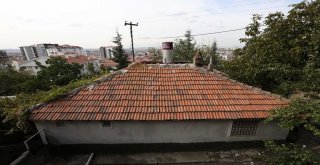 Münevver Teyzenin Yeni Yuvası Hazırlanıyor