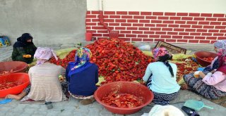 (Özel) Suriye Sınırında Sofralara Tat Veren Acı