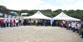 Sekmen Koşapınarlıların Festival Coşkusuna Ortak Oldu