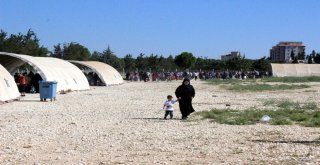 Ülkelerine Gitmek İsteyen Suriyeliler Öncüpınara Akın Etti