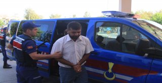 Muğlada Göçmen Kaçakçılığına 7 Tutuklama