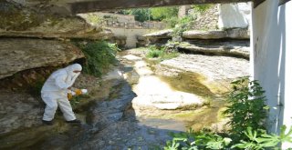 Mahallelerde Yıkama Ve İlaçlama Çalışmaları Sürüyor